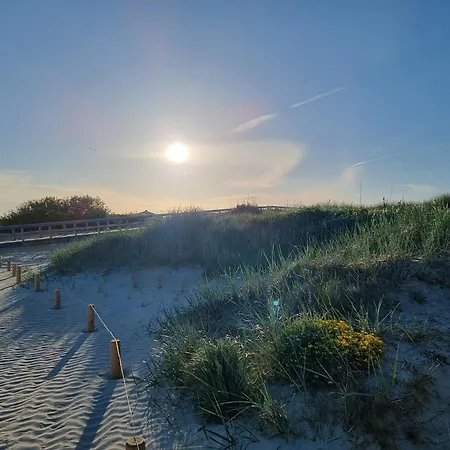 Golfkate Eagle * Hage